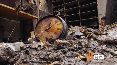 Woonkamer met zichtbare storm- en waterschade